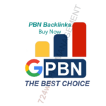 PBN backlinks service