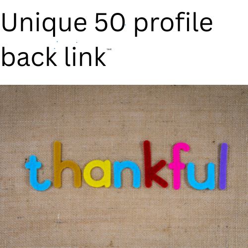 I will do 50 unique profile backlinks SEO link buliding 